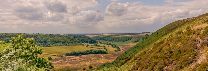 English countryside