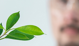 person with goggles holding a plant