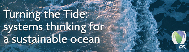 Overhead view of the ocean with a wave 2/3 of the way across. Superimposed with text reading "Turning the Tide: systems thinking for a sustainable ocean" 