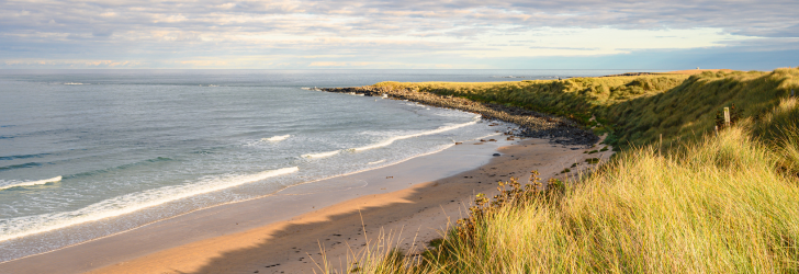 Sand dunes at Snook Point at end of Beadnell Bay, on the Northumberland coast