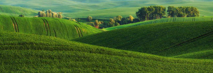 Rolling green fields